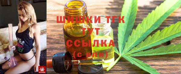 2c-b Надым