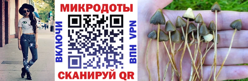 дарнет шоп  Коломна  Галлюциногенные грибы Psilocybe 