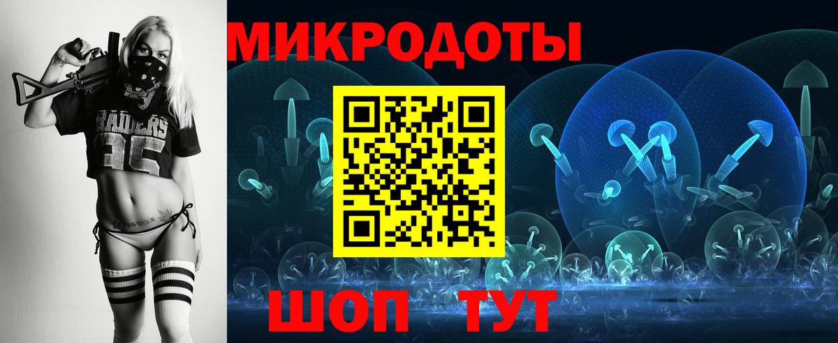 Псилоцибиновые грибы прущие грибы  Коломна 